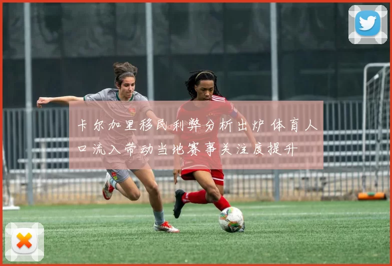 卡尔加里移民利弊分析出炉 体育人口流入带动当地赛事关注度提升